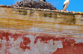 Casa Margarida Azul - Photo 27