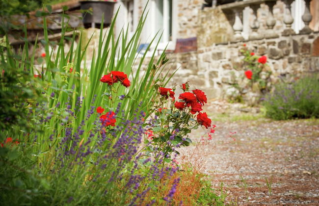 Accessible Stay in Nature - Foto 33