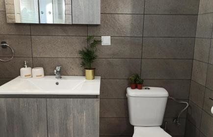 Sasa's Family House Potidea - Foto 49