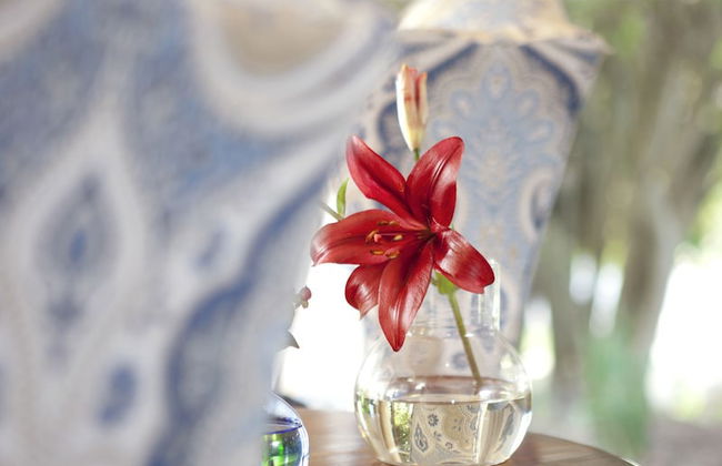 The Lodge L'Avenir - Foto 15