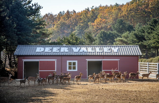 Kensington Resort Seorak Valley - Foto 42