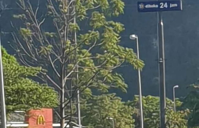 Tambun D'Mewah homestay - Foto 14