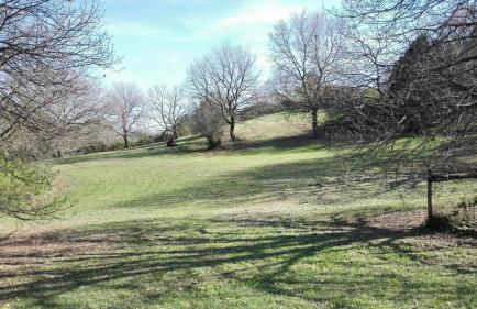 Il Piccolo Rifugio - L'Angoletto - Foto 68
