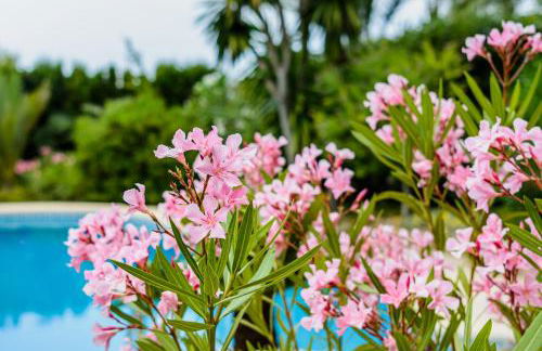 3010 - Schönes mediterranes Ferienhaus in Costa de la Calma - Foto 11