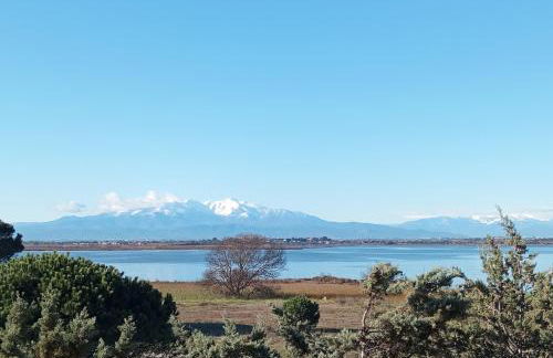 Le Capestang - Foto 24