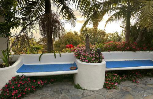 Tijarafe 2 - Foto 48