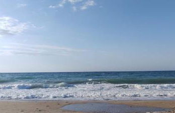 Sea Harmony - Foto 24