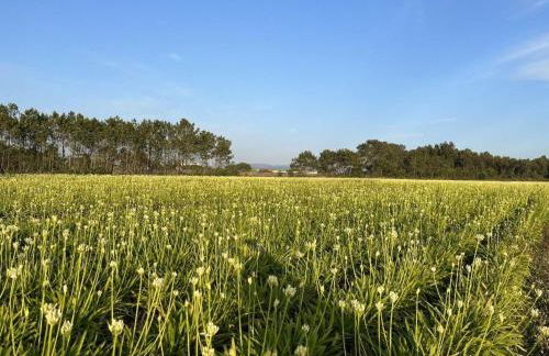 Holiday Home Schönes Landhaus mit Tauchbecken- Strand 3km by Interhome - Foto 19