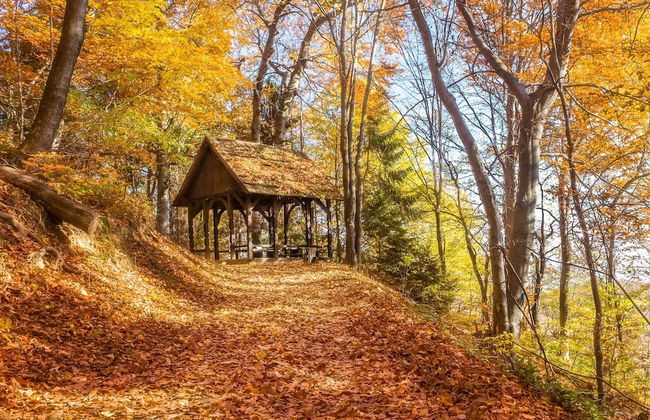 Lovely House Near Zagreb With Terrace - Foto 17