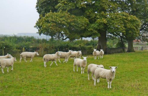 The Hayloft Cottage - Foto 20