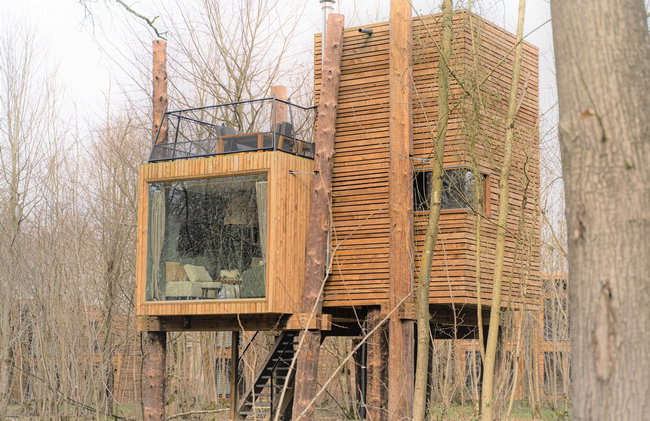 Luxury Tree Loft Tree Cabin for 4 People 4 - Foto 34