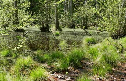 Ferienwohnung Stein - Foto 22