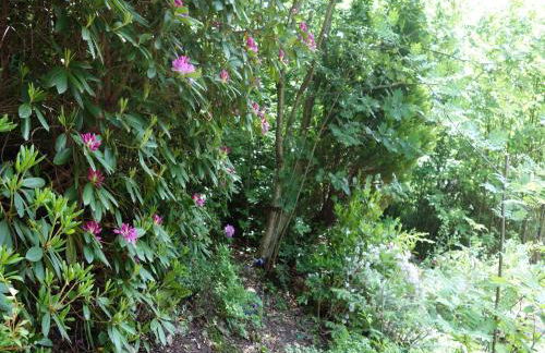 Ferienhaus Sara - Foto 11