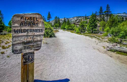 Mammoth Green 101 - Photo 42