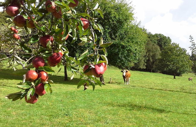 Casa de Graña de Acea - Photo 26