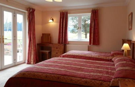 The Dorset Resort - Photo 140