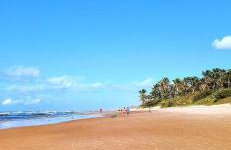 StellaPremium - Photo 15