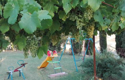 Agriturismo Collomici - Foto 51