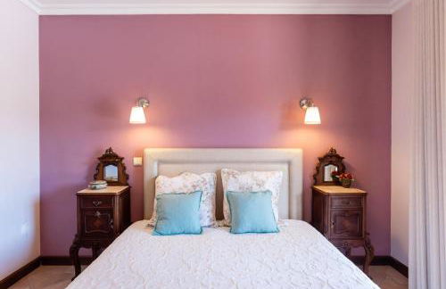 Feel Discovery Maçã Douro - Foto 39