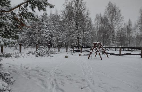 Kolorowe Wzgórze agroturystyka i konie - Foto 15