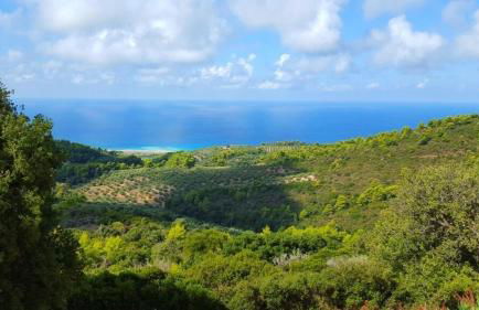 Villa Olympia - Foto 20