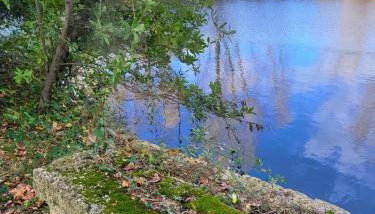 Château de Livière - Foto 5
