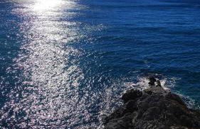 Appartamento Casa Patrizia - Foto 17