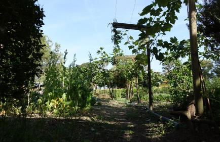 Casa Vacanze Feudi 1165 - Foto 25