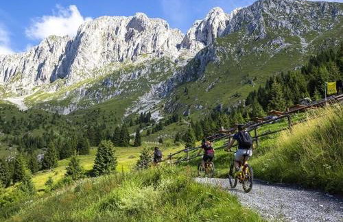 Presolana House - Photo 25