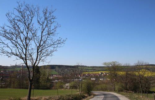 Großzügige Ferienwohnung in Stadtilm, WLAN, Küche und Bad - Photo 25