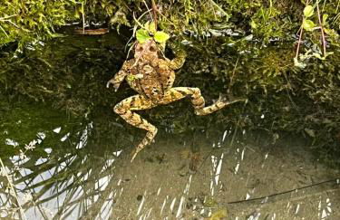 Landhaus Renata Bayrischzell - Foto 69