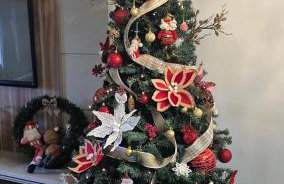 Casa com piscina, suite com hidro em Blumenau - Foto 20