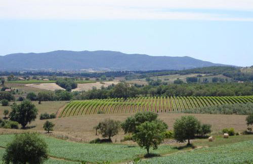 I Puntoni Agriturismo - Foto 74