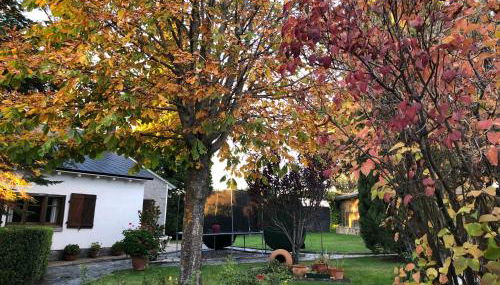Villa Aurelia - Casa de campo con jardín y piscina entre Madrid y Segovia - Foto 2, Garden, Garden view