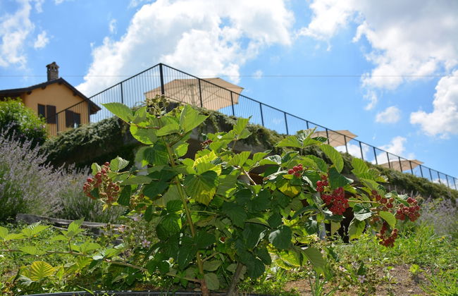 Ca' Villa Club Agriturismo - Foto 32