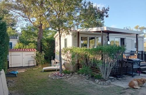 Mobile Home 36m2 - Foto 15