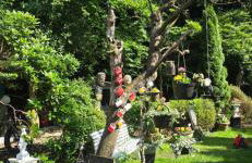 Oase am Deich - Photo 60