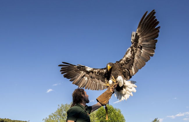 Casa rural La Bardena Blanca I - Foto 32