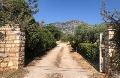 NicChia Turchese - Foto 16