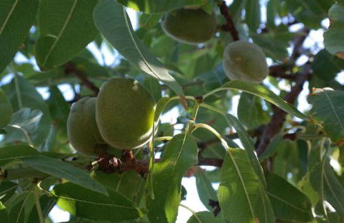 Niriides Studios - Foto 27