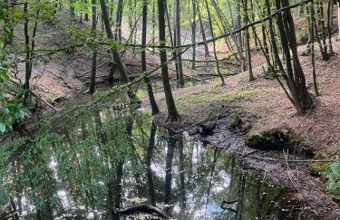 Wiejska Sielanka w Garbatce-Letnisku - Foto 18