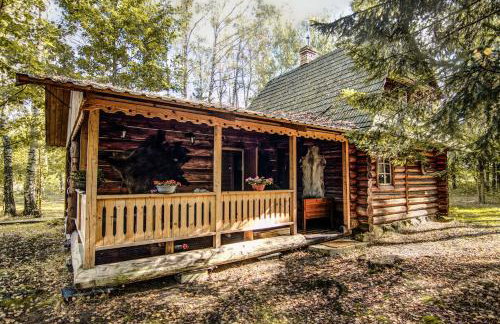 Chatka w lesie - Foto 6