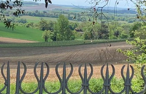 Le Buscagneau - Photo 40