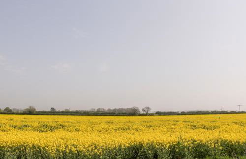 Pipistrelle Cottage - Foto 21