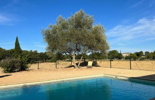 Mas Grenadine, magnifique villa du Piémont Cévenol - Photo 35