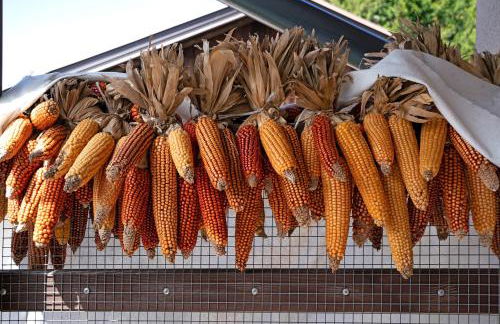 Agritur La Gemma - Foto 59