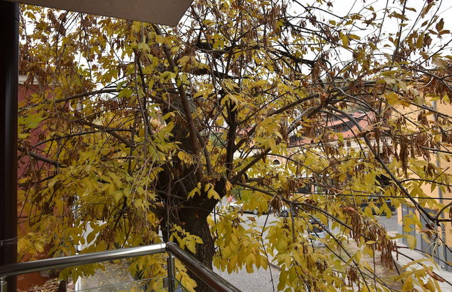 Apartments Plovdiv - Foto 50