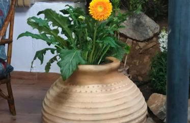 Harris elegant house superb view near airport - Foto 61