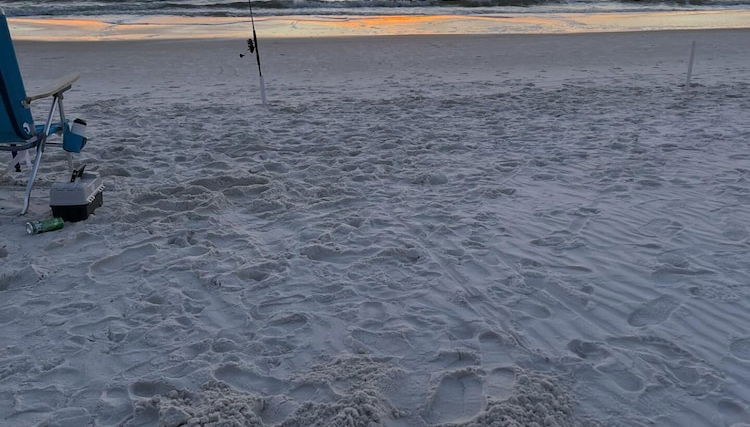 The Great White 2 - Foto 1, Imagen principal