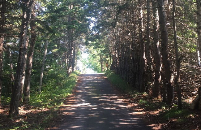 By The Bay Cottages - Foto 14